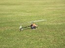 Flugtag 2011