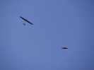 Hangflug an der Teck 2013