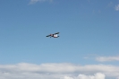 Flugtag 2014