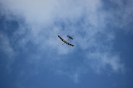 Flugtag 2014