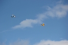 Flugtag 2014