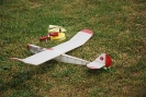 Flugtag 2014