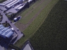 Sonstige Bilder